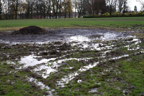 Marshy Moor
